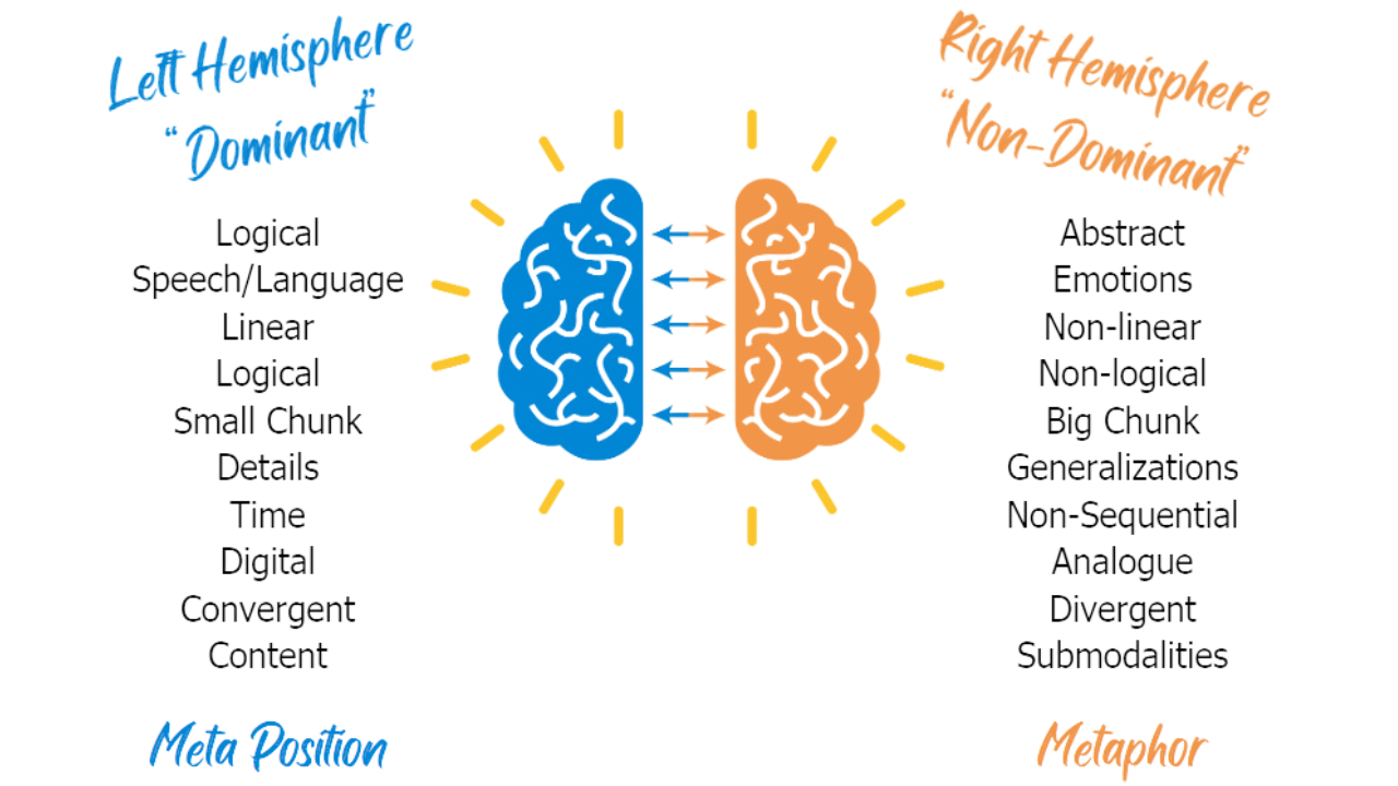 MoM 2 sides of the Brain-1
